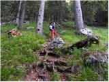 Planina Dol - Planina Rzenik